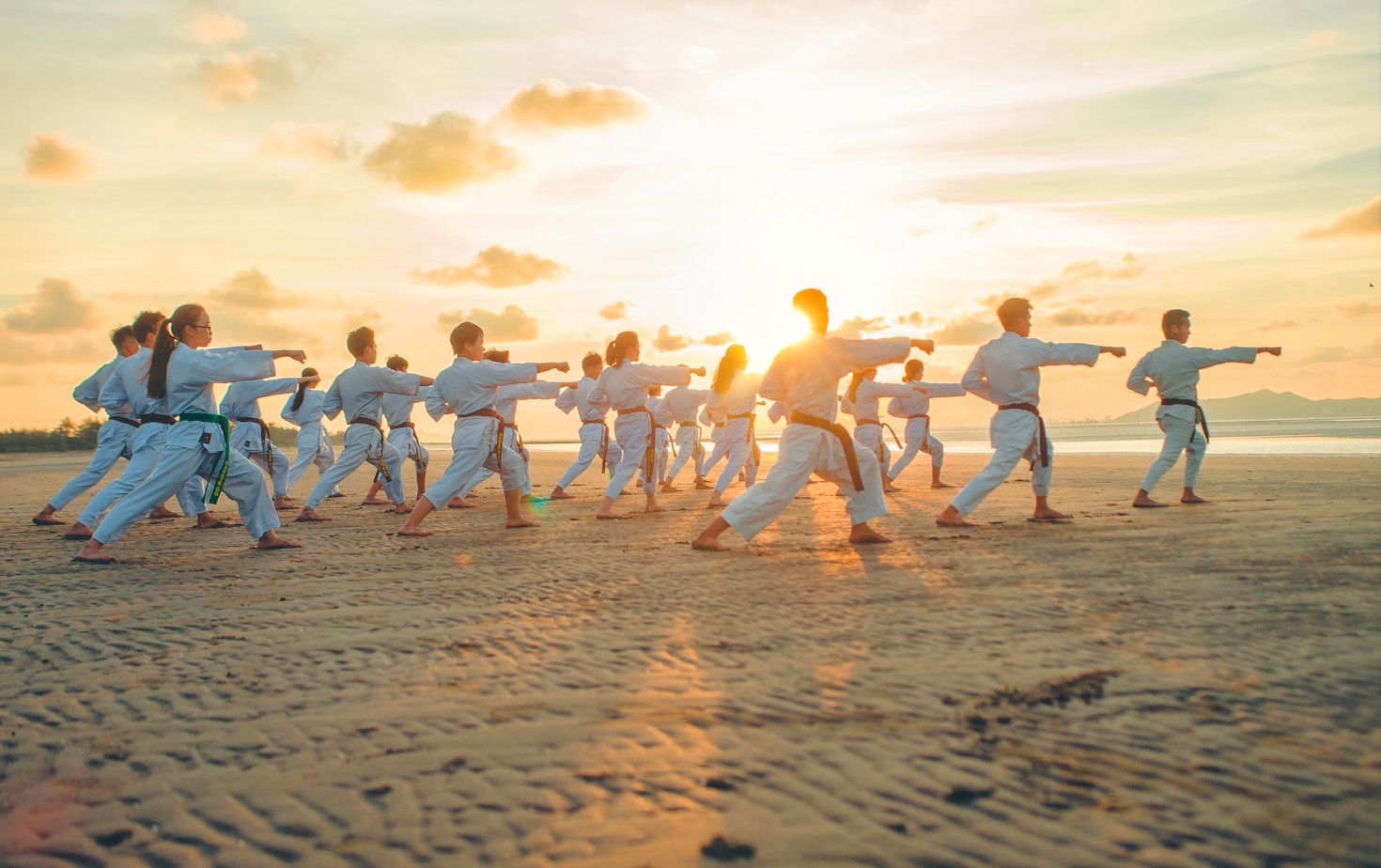 Il Viaggio della Lin Jingshan Martial Arts Society